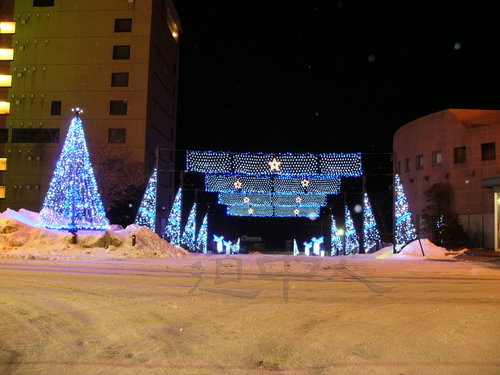 イルミネーション６