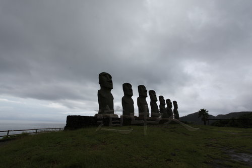 IMG_4550.JPG