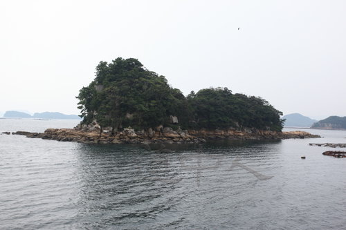 IMG_8370.JPG