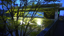 P1160689.JPG
