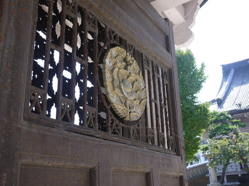 P1180835.JPG