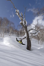 冬号滑雪场特辑