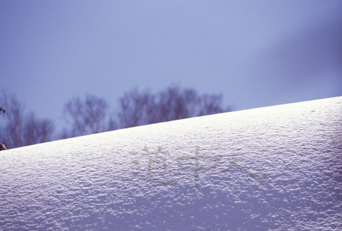 トレッキングイメージ（新雪）.jpg