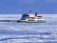 9241.jpg