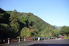 IMG_2304.JPG
